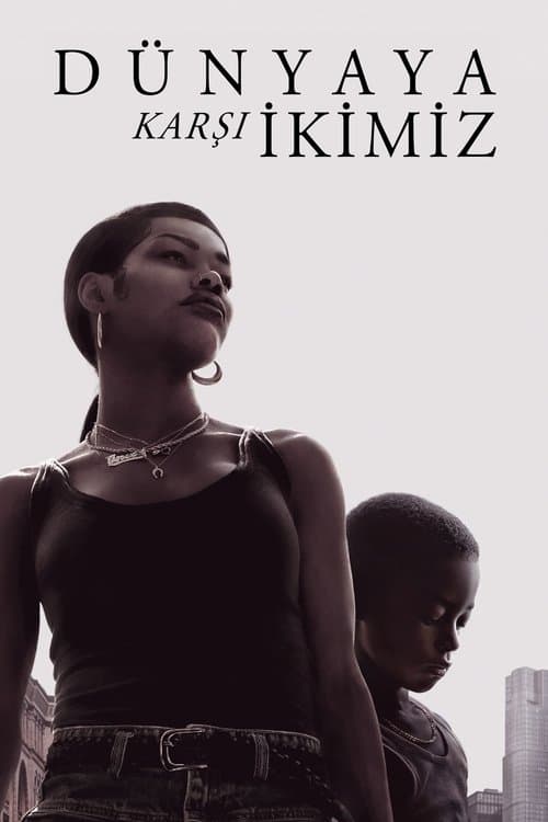 Dünyaya Karşı İkimiz afişi
