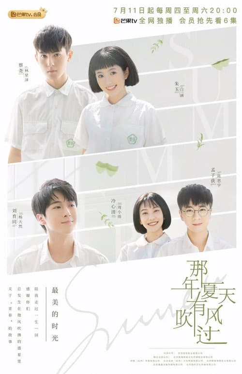 那年夏天有风吹过 afişi
