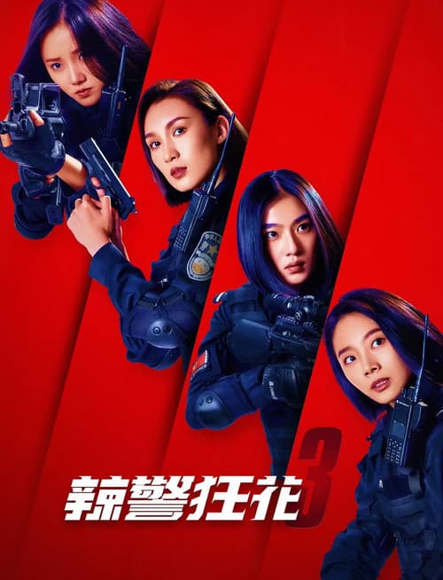 辣警狂花3 afişi