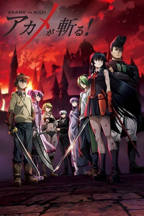 Akame ga Kill! afişi