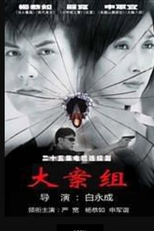 大案组 afişi