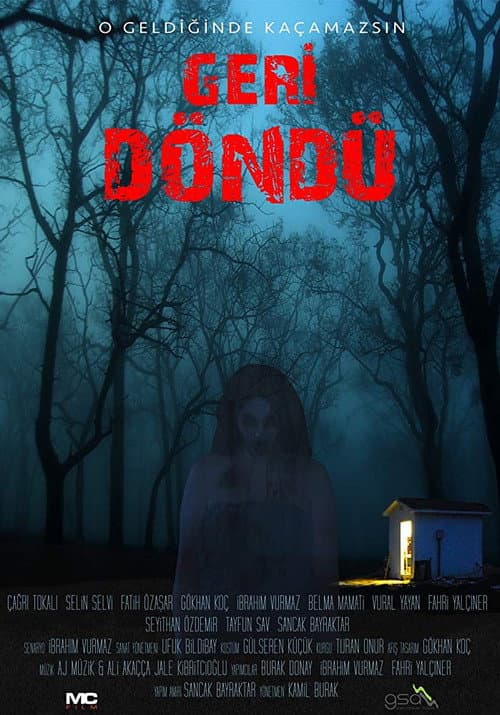 Geri Döndü afişi