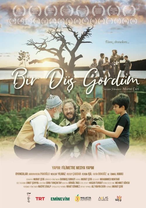 Bir Düş Gördüm afişi