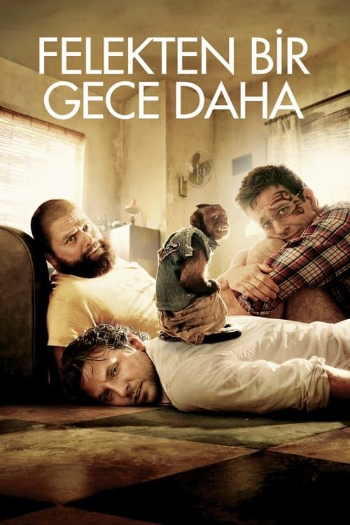 Felekten Bir Gece Daha afişi