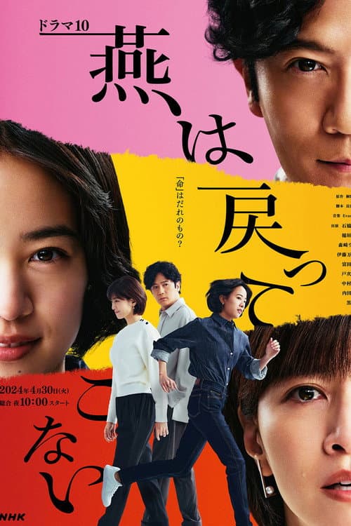 燕は戻ってこない afişi