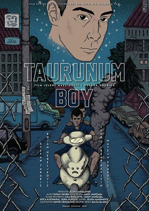 Taurunum Boy afişi