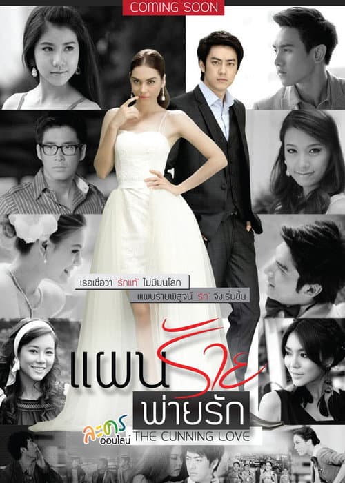 แผนร้ายพ่ายรัก afişi