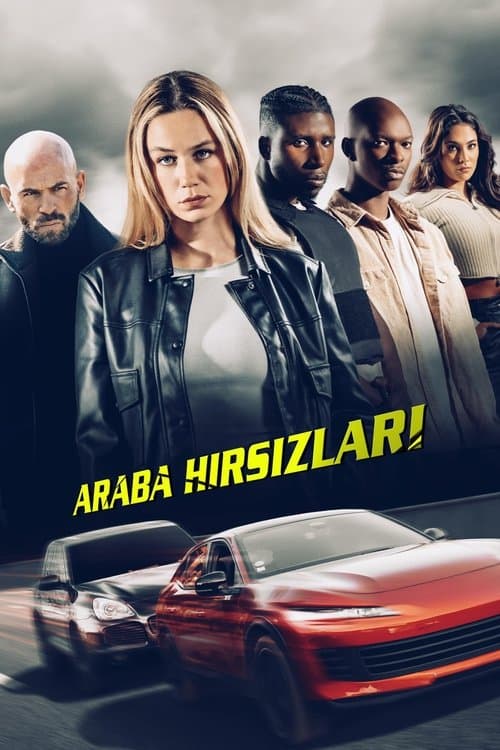 Araba Hırsızları afişi