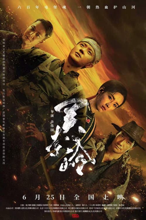关索岭 afişi