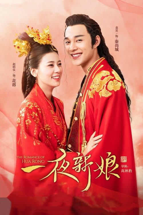 一夜新娘 afişi