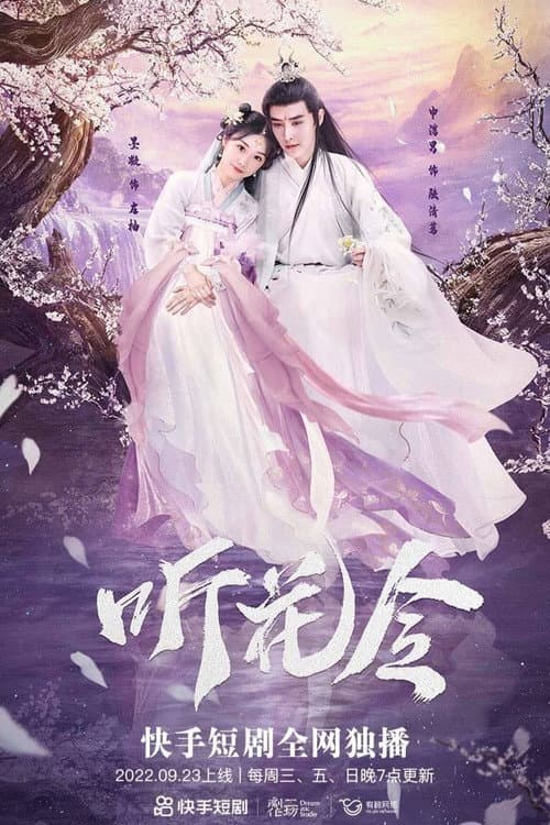 听花令 afişi