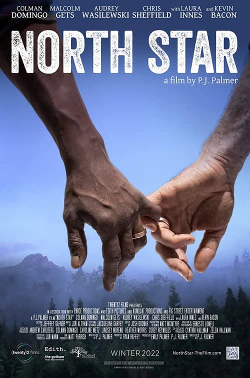 North Star afişi