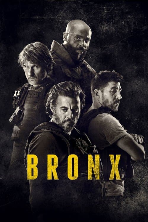 Bronx afişi