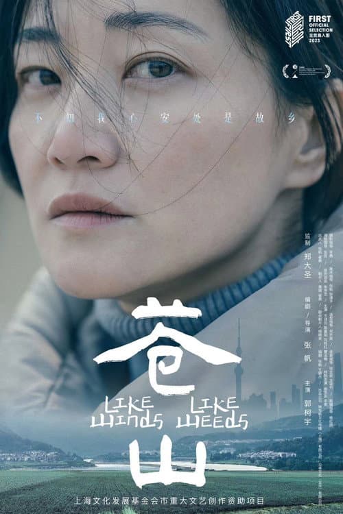 苍山 afişi