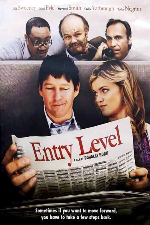 Entry Level afişi