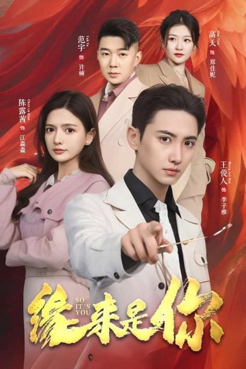 缘来是你 afişi