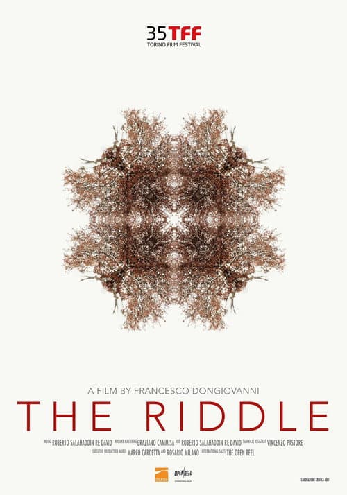The Riddle afişi