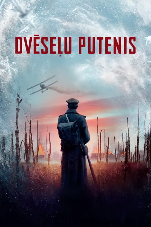 Dvēseļu putenis afişi