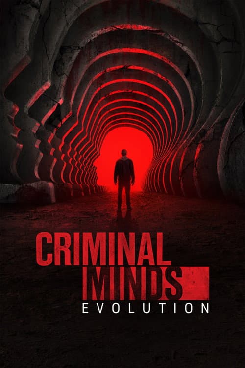 Criminal Minds afişi