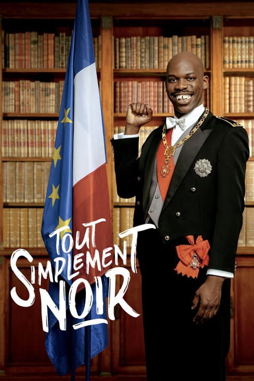 Tout simplement noir afişi