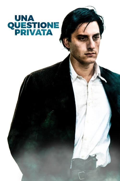 Una questione privata afişi