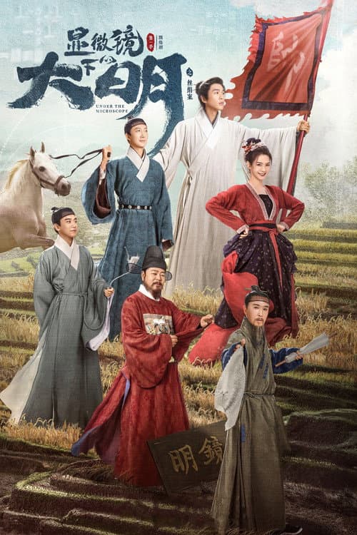 显微镜下的大明之丝绢案 afişi
