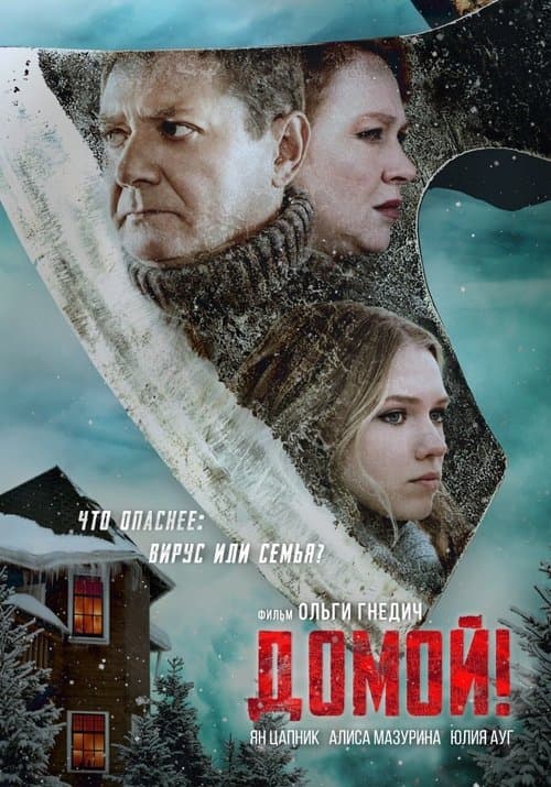 Домой afişi