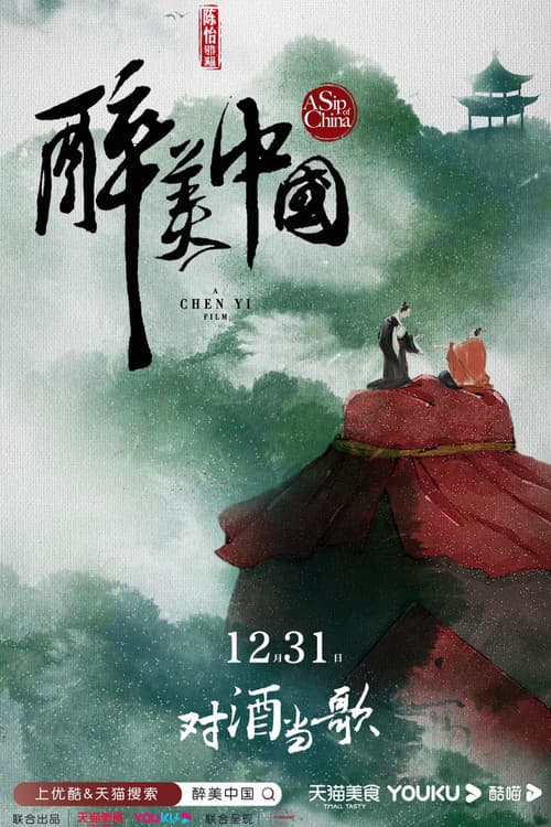 醉美中国 afişi