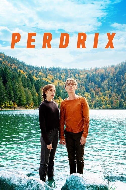 Perdrix afişi