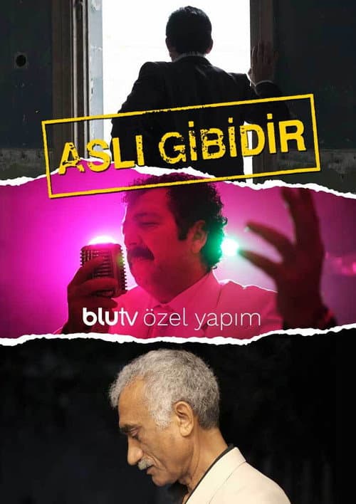 Aslı Gibidir afişi