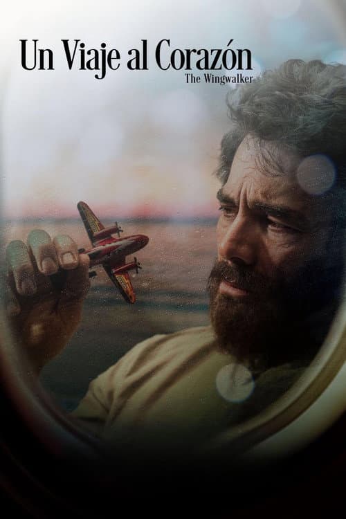 Un Viaje Al Corazón afişi