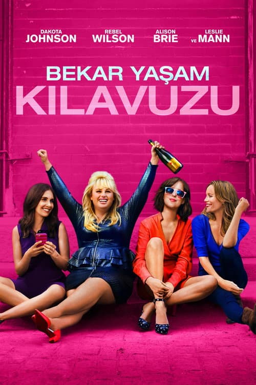 Bekâr Yaşam Kılavuzu afişi