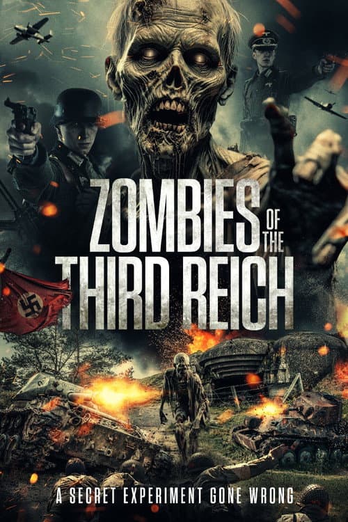 Zombies of the Third Reich afişi
