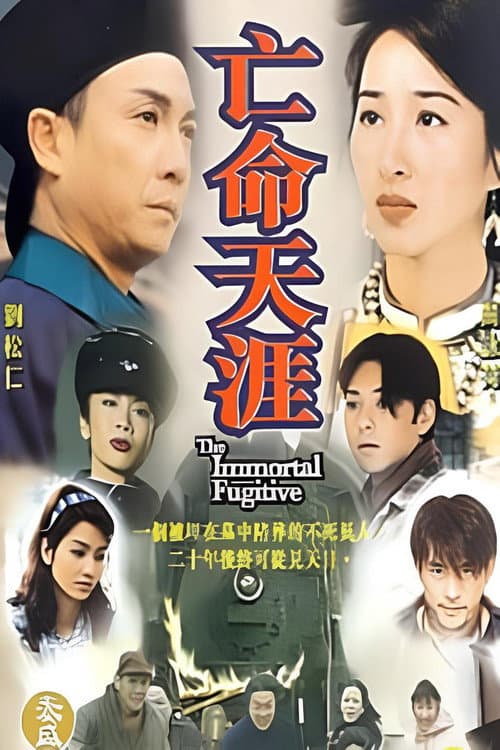 亡命天涯 afişi