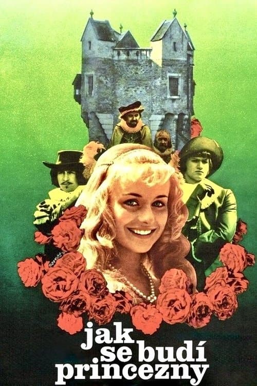 Jak se budí princezny afişi
