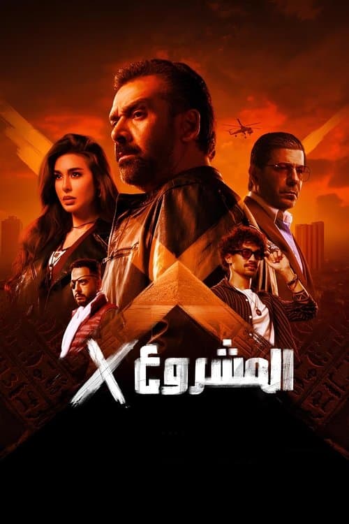 Project X afişi