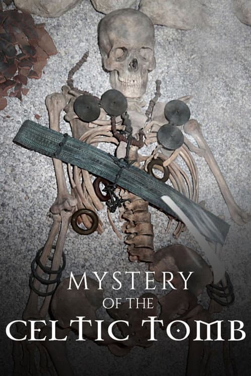Mystery of the Celtic Tomb afişi