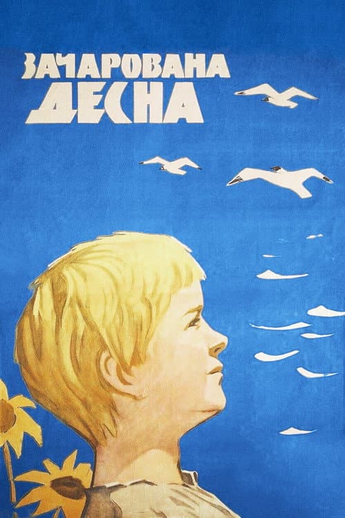 Зачарованная Десна afişi