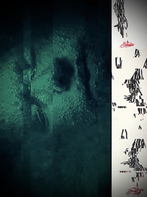 Three Wolves afişi