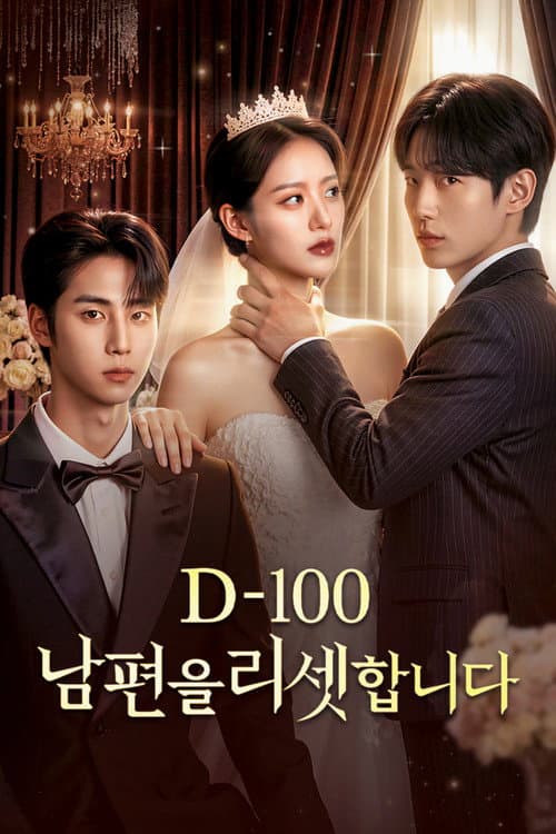 D-100 남편을 리셋합니다 afişi