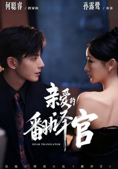 亲爱的翻译官 afişi