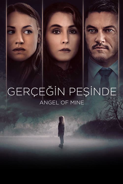 Gerçeğin Peşinde afişi