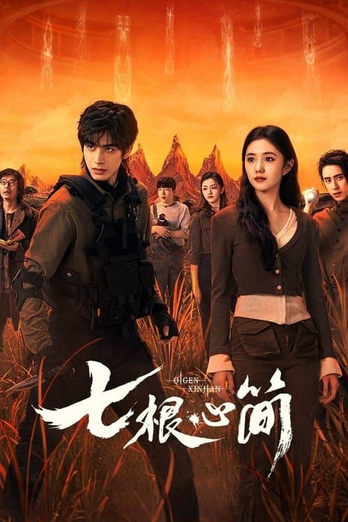 七根心简 afişi
