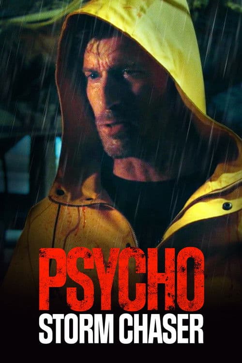 Psycho Storm Chaser afişi