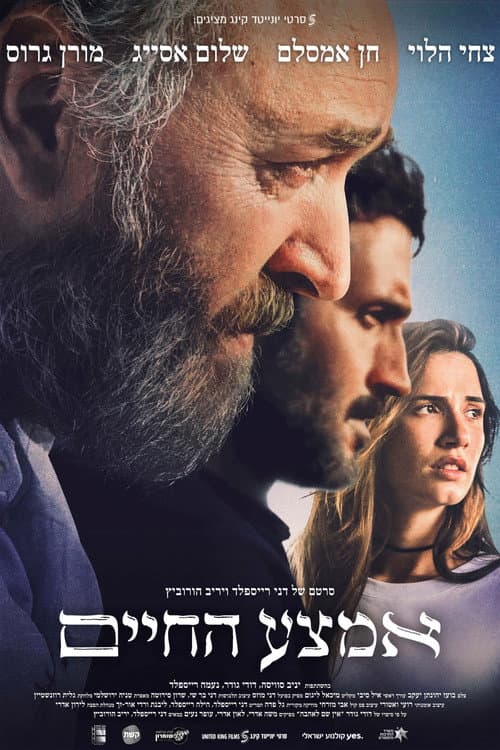 אמצע החיים afişi