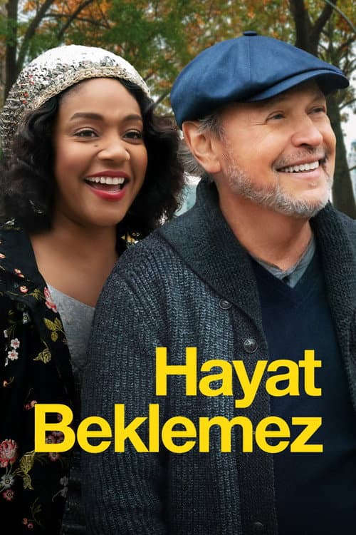 Hayat Beklemez afişi