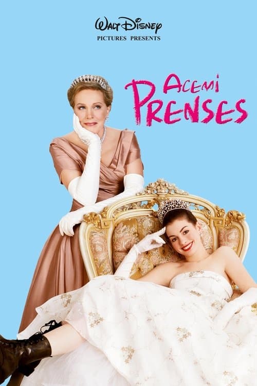 Acemi Prenses afişi