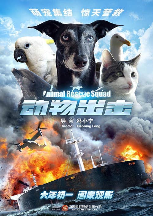 动物出击 afişi