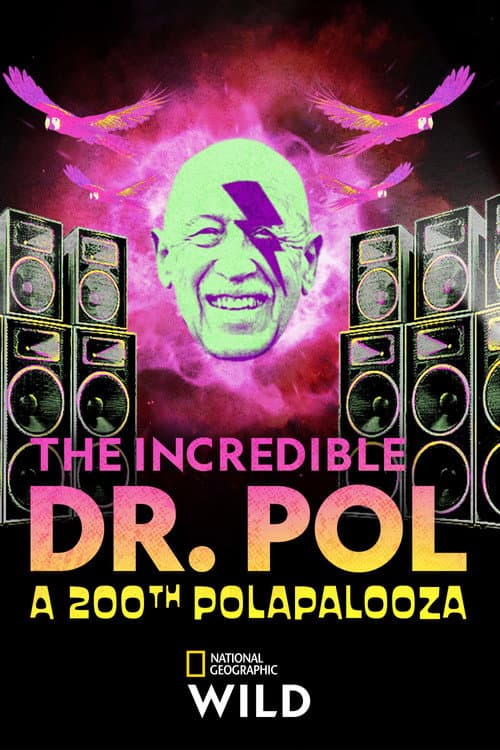 Yetenekli Dr. Pol 200. Bölüm Özel afişi