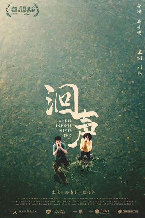 洄声 afişi